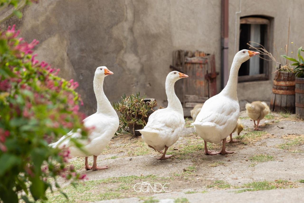 La Casa Contadina Nel Paese Delle Fiabe Apartment Roccalvecce ภายนอก รูปภาพ