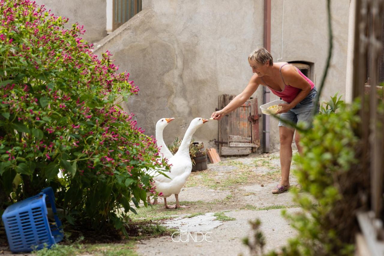 La Casa Contadina Nel Paese Delle Fiabe Apartment Roccalvecce ภายนอก รูปภาพ